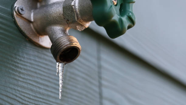 Best Local Plumber Services  in Black Canyon City, AZ